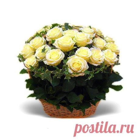 ДЛЯ МОИХ ДЕВОЧЕК!