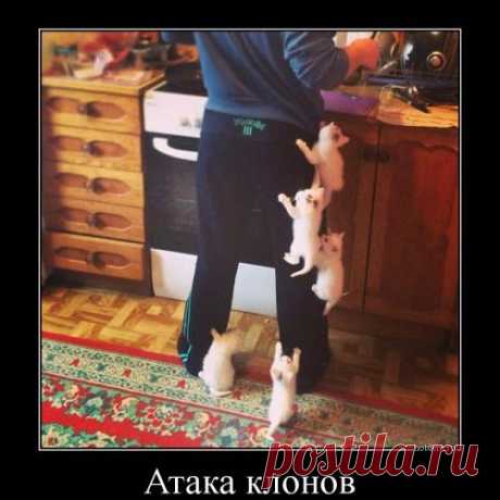 Юмор - заряд бодрости
