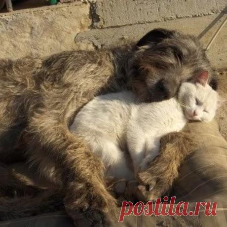 Больше, чем просто фото