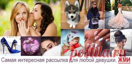 Новые фотографии котята няшные.