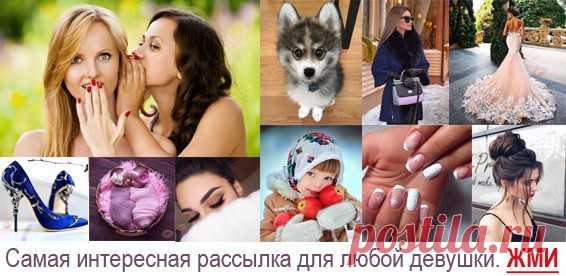 Новые фотографии котята няшные.