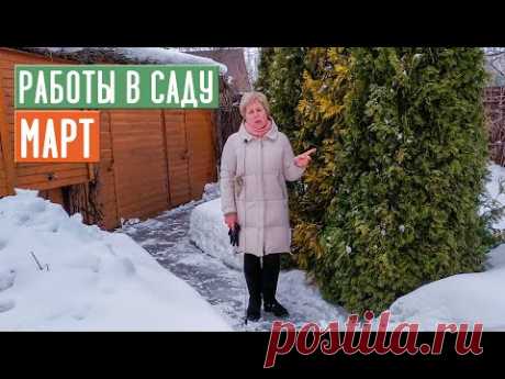 СЕЗОН 2020: ОСНОВНЫЕ РАБОТЫ В САДУ В МАРТЕ! О чем нельзя забыть? / Садовый гид