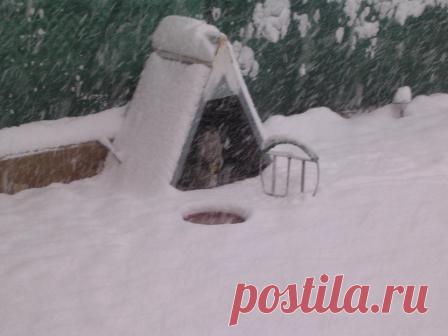 Оборудование для соколиной охоты / Практика соколиной охоты / 