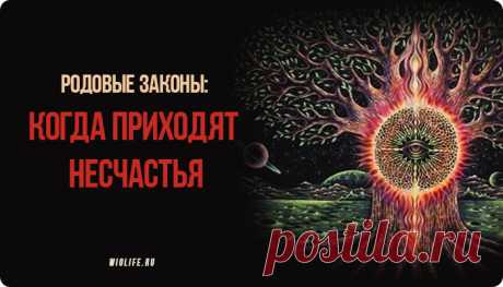 Родовые законы: когда приходят несчастья
Содержание Понимать родовые законы. ЗАКОН ПРИНАДЛЕЖНОСТИ СИСТЕМЕ ЗАКОН ЗАМЕЩЕНИЯ ЗАКОН ИЕРАРХИИ ЗАКОН ЛЮБВИ или ПОРЯДКИ ЛЮБВИ ЗАКОН БАЛАНСА МЕЖДУ ОТДАВАТЬ И БРАТЬ Как соблюдать баланс? ЗАКОН НЕПРОЖИТЫХ ЭМОЦИЙ Каждый из нас должен понимать, что мы не одиноки, даже если нам так кажется. Все мы связаны тесными цепями со своим Родом через родителей, которые дали нам […]
Читай пост далее на сайте. Жми ⏫ссылку выше