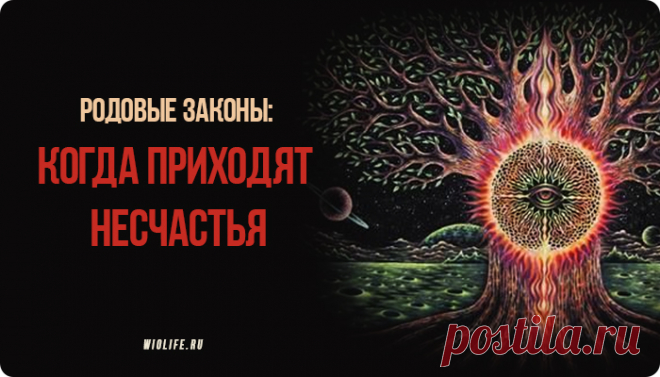 Родовые законы: когда приходят несчастья
Содержание Понимать родовые законы. ЗАКОН ПРИНАДЛЕЖНОСТИ СИСТЕМЕ ЗАКОН ЗАМЕЩЕНИЯ ЗАКОН ИЕРАРХИИ ЗАКОН ЛЮБВИ или ПОРЯДКИ ЛЮБВИ ЗАКОН БАЛАНСА МЕЖДУ ОТДАВАТЬ И БРАТЬ Как соблюдать баланс? ЗАКОН НЕПРОЖИТЫХ ЭМОЦИЙ Каждый из нас должен понимать, что мы не одиноки, даже если нам так кажется. Все мы связаны тесными цепями со своим Родом через родителей, которые дали нам […]
Читай пост далее на сайте. Жми ⏫ссылку выше