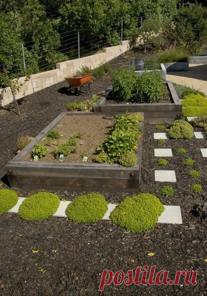 Красивые стационарные грядки — 6 соток