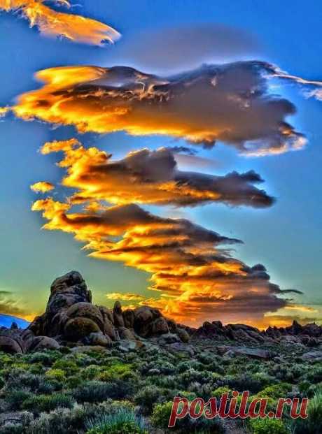Nice picture