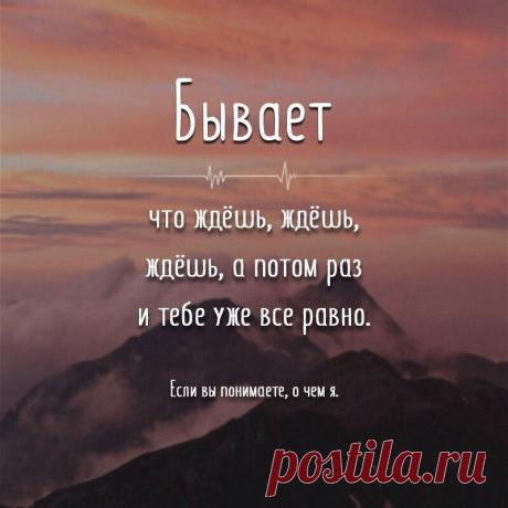 Без комментария