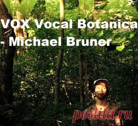 VOX Vocal Botanica – Michael Bruner WAV | 252.97 MB
This is more than just a sample pack—it tells a story. Built around field recordings of nature, rich harmonies, and evocative vocal hits, it embodies the essence of Bruner’s work, reflecting the primal spirit of humanity. These aren’t lifeless studio performances; every track is meticulously refined, distilling raw emotion and existence into music.