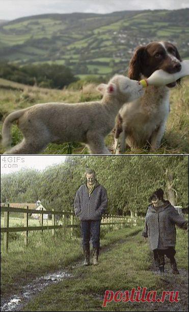 (27) Одноклассники