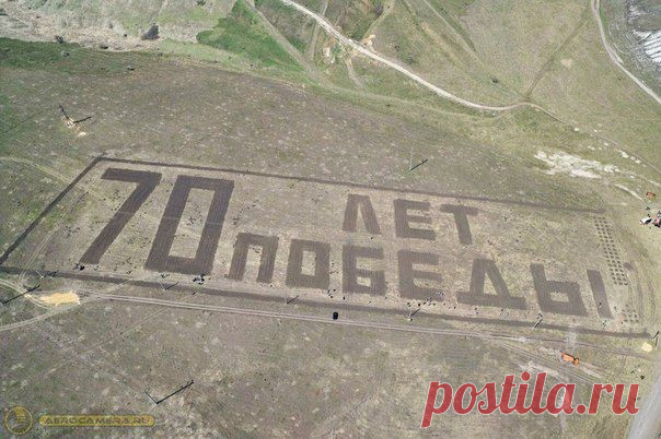 Надпись из деревьев, которую можно увидеть из космоса высадили в Белгородской области. / Взлом логики