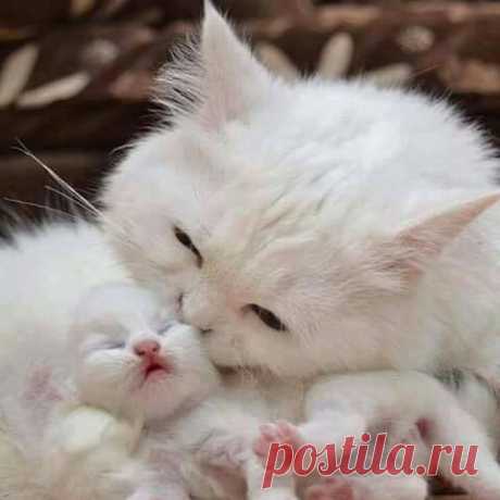 &lt;3I Love You, Baby.&lt;3