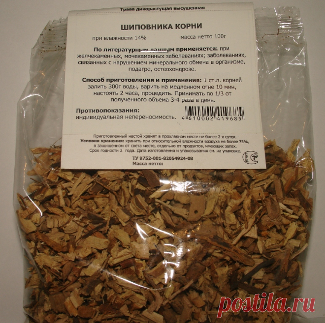 КОРНИ ШИПОВНИКА - МОЩНОЕ СРЕДСТВО ПРОТИВ КАМНЕЙ.