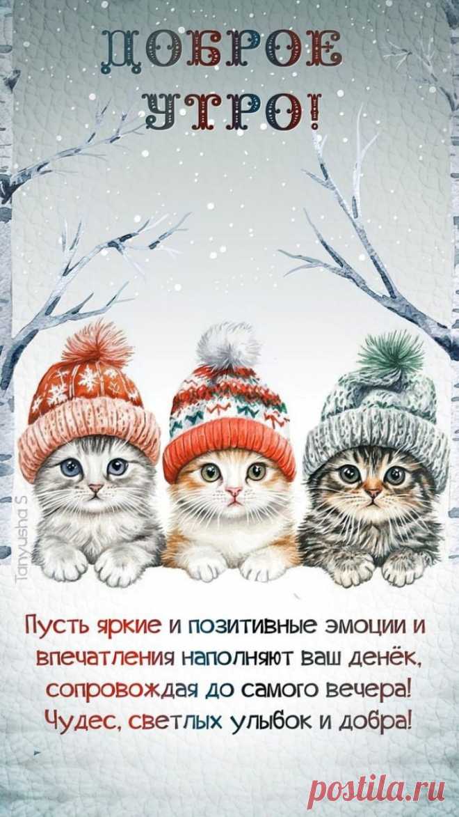 С зимним утром ранним! Пусть оно будет добрым и приятным! Желаю все утро улыбаться и видеть таких же улыбчивых оптимистов вокруг. доброе утро зимние открытки
