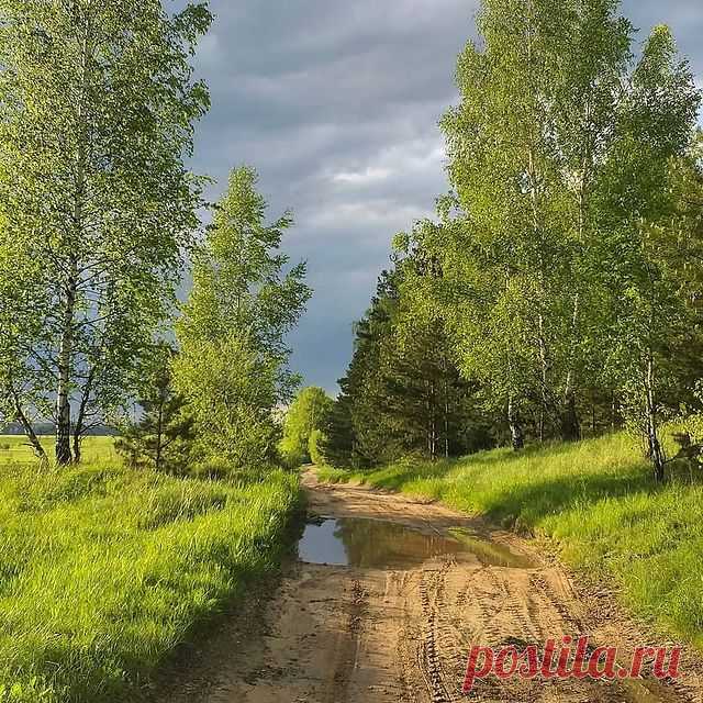 Добрый день, друзья! ⠀
🌾🌻🌿🌼🌱️ После дождя.⠀ ⠀
⠀
Благодарим: ⭐⭐⭐ @1414_1314_74 ⭐⭐⭐
⠀
🔝 ВОКРУГ СВЕТА 🔝✔ рекомендует посмотреть галерею автора👌👌👌. ⠀

◾◾◾◾◾◾◾◾◾◾◾◾

⭕ @vokrugsvet - лучшие кадры со всего мира. ❤️👍 

➖➖➖➖➖➖➖➖➖➖➖➖➖

⭕ @natureofrussia.ru - самые красивые фотографии. 😍📷🌴 

➖➖➖➖➖➖➖➖➖➖➖➖➖

⭕ Здесь может быть Ваша реклама 😍❤🍾

◾◾◾◾◾◾◾◾◾◾◾◾
⠀
⭕ Не забудьте подписаться на нас @natureofrussia.ru и включить уведомления 🔔 чтобы не пропустить новый выпуск.