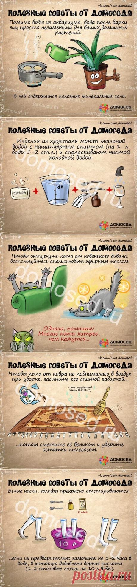 Полезные советы от Домоседа пригодятся всем!