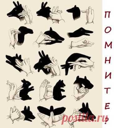 (38) Одноклассники