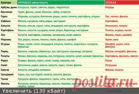 Совмещённые посадки