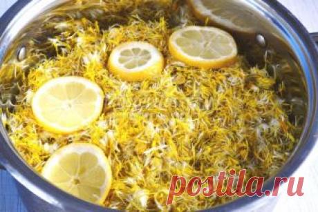 Варенье из одуванчиков. Рецепт с пошаговыми фото