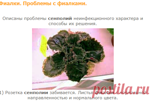 Фиалки. Проблемы с фиалками.