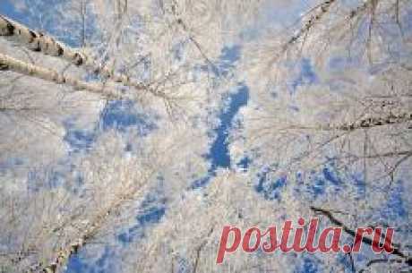 Афанасьев день, Афанасий-ломонос