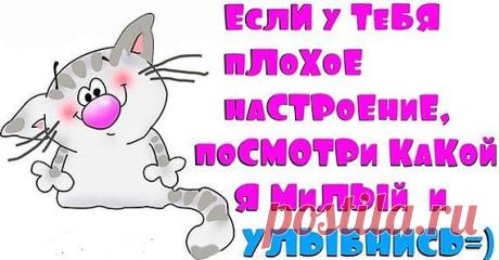 Блоги@Mail.Ru: светлана мост
