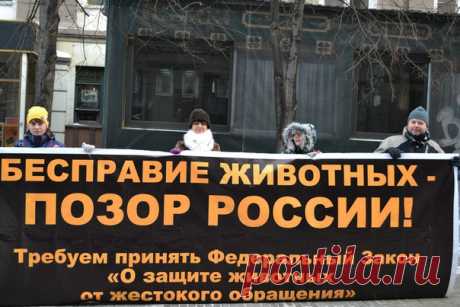 ребятки товарищи все кто реально хочет идти на пикет то пишите либо мне в личку либо в коменты! чем больше народу пойдёт тем лучше так же нужно согласовать с Администрацией проведения пикета и выбрать день!!!!!!!!!!!!!! ПОМОЖЕМ ХВОСТИКАМ ВМЕСТЕ