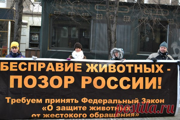 ребятки товарищи все кто реально хочет идти на пикет то пишите либо мне в личку либо в коменты! чем больше народу пойдёт тем лучше так же нужно согласовать с Администрацией проведения пикета и выбрать день!!!!!!!!!!!!!! ПОМОЖЕМ ХВОСТИКАМ ВМЕСТЕ