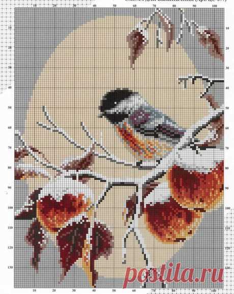 (13) Pinterest
