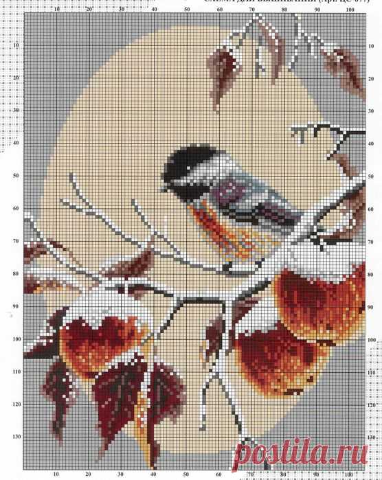 (13) Pinterest