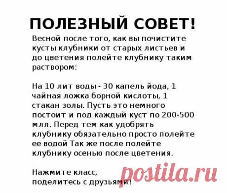 (73) Одноклассники