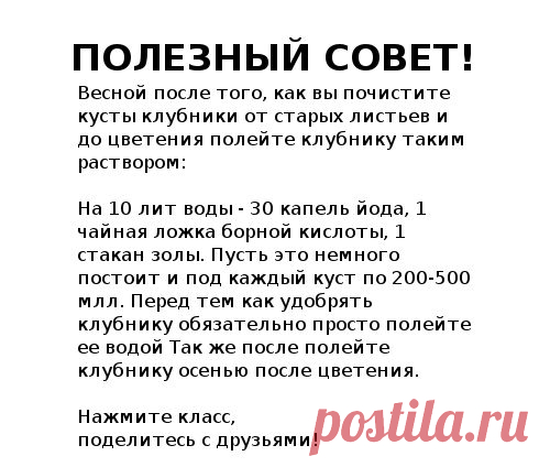 (73) Одноклассники