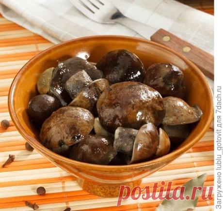 Маринованные подосиновики «Ароматные». Рецепт