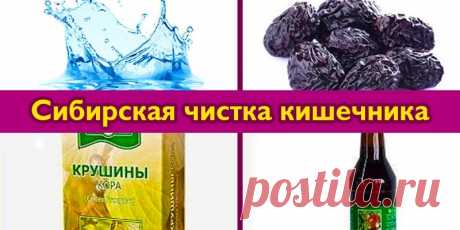 Сибирская чистка кишечника - Полезные советы