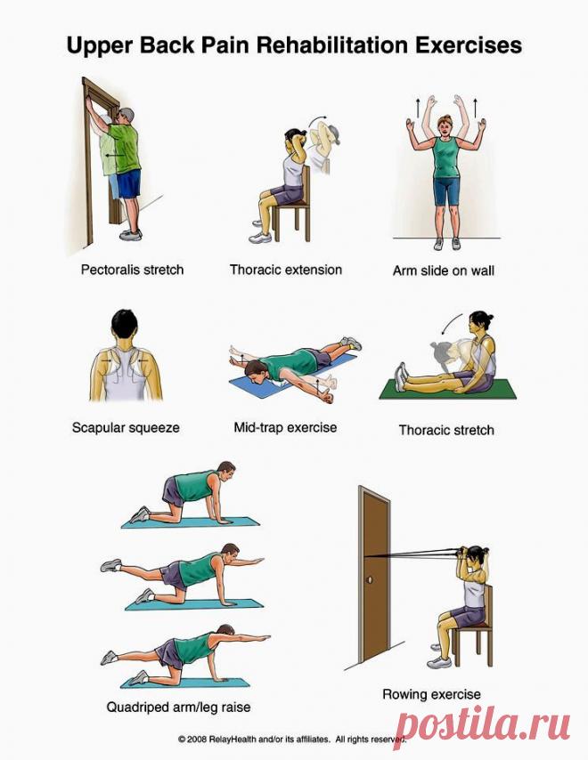ЧТОБЫ ПОЯСНИЦА И СПИНА НЕ БОЛЕЛИ