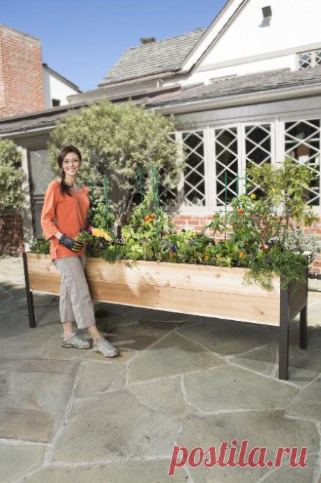 Amazon.com : Elevated Cedar Planter Box, 2' x 8' : Raised Garden Kits : Patio, Lawn & Garden
