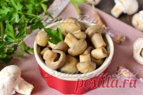 Рецепты закусок с фотографиями