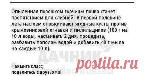 Сад-огород