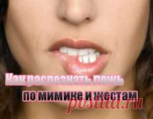 Распознаем лжеца с помощью жестов.