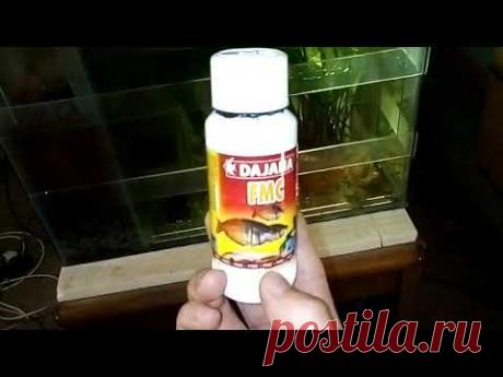 Знакомьтесь FMC! Легендарное лекарство! - YouTube