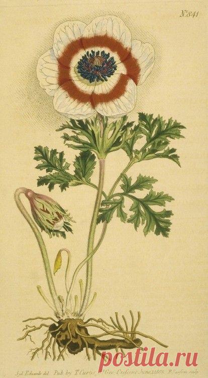 Найдено на сайте cosmologie.tumblr.com.