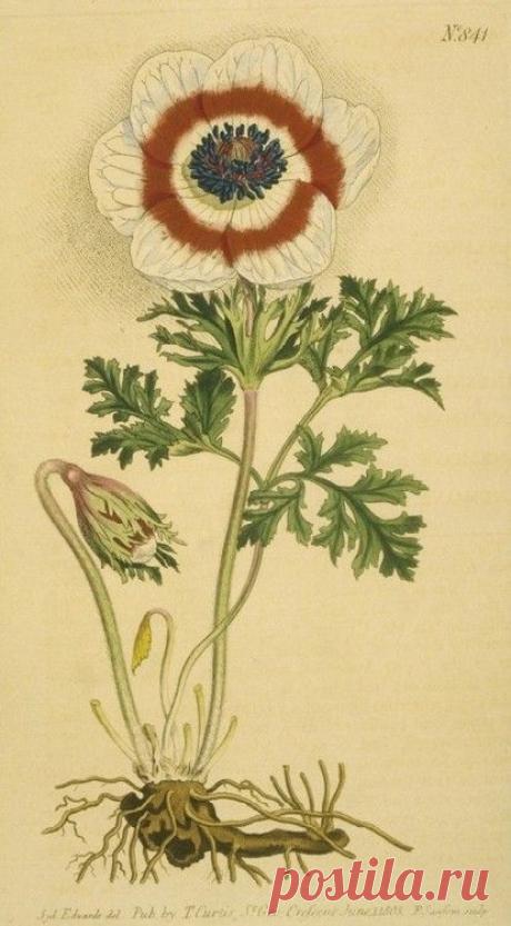 Найдено на сайте cosmologie.tumblr.com.