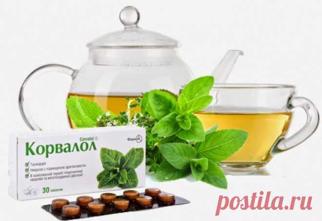 КУЛЬТУРА ПРОЦВЕТАНИЯ: Осторожно, Корвалол!