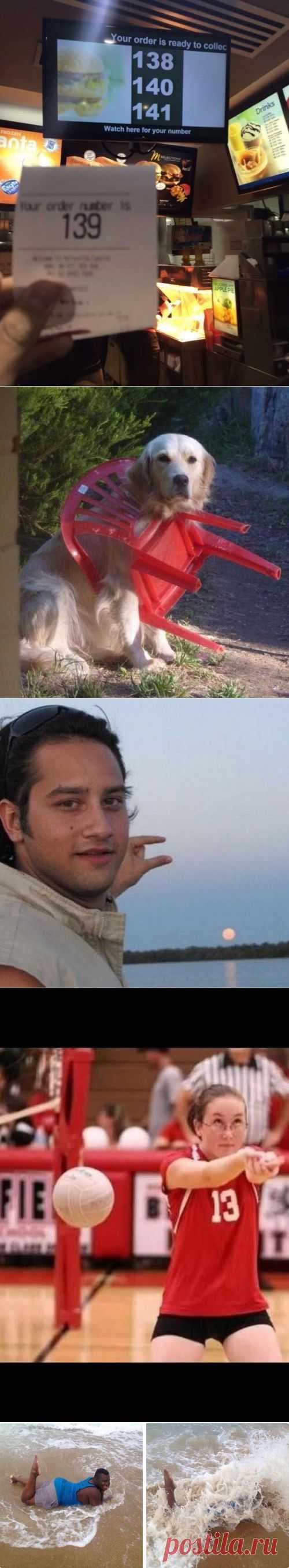 17 фотографий, которые идеально передают суть жизни | VICER.RU