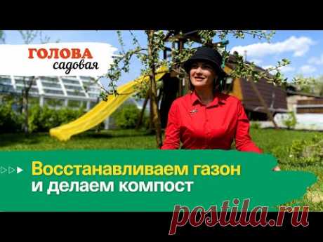 Голова садовая - Восстанавливаем газон и делаем компост