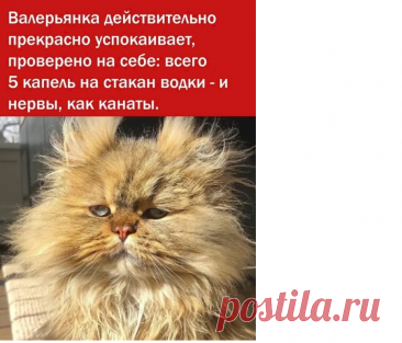 6816c02b.png (905×774)