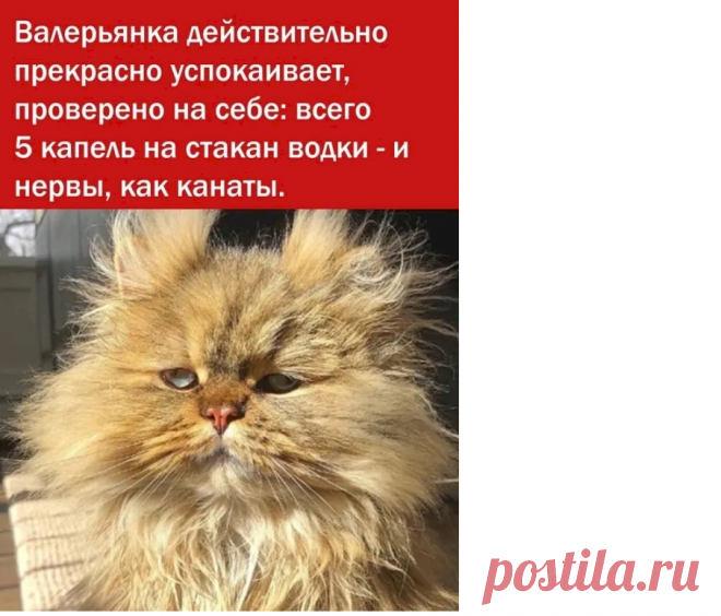 6816c02b.png (905×774)