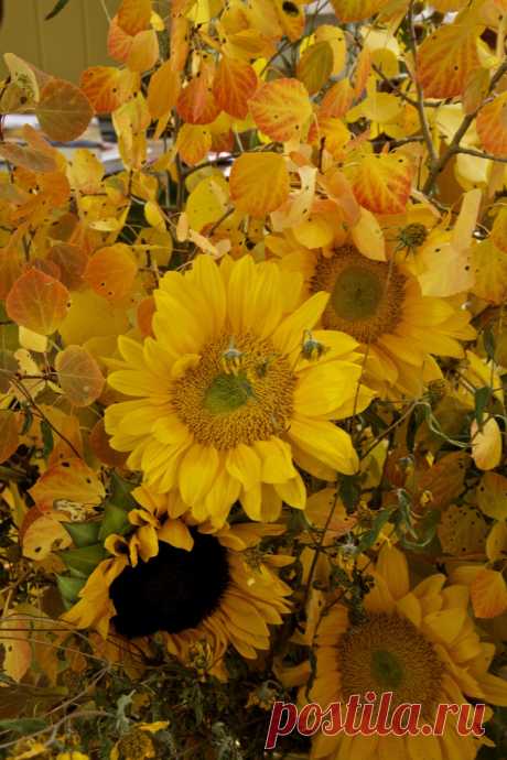 Thank You All | Carolyne Roehm