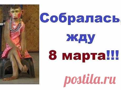 Анекдоты в пятницу (праздник к нам приходит...)