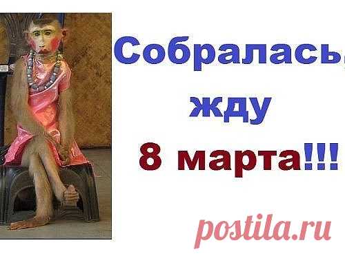 Анекдоты в пятницу (праздник к нам приходит...)